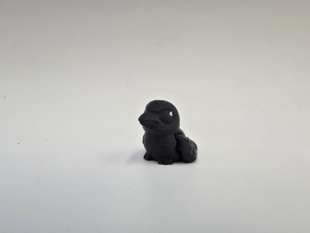 Hatchling Crow