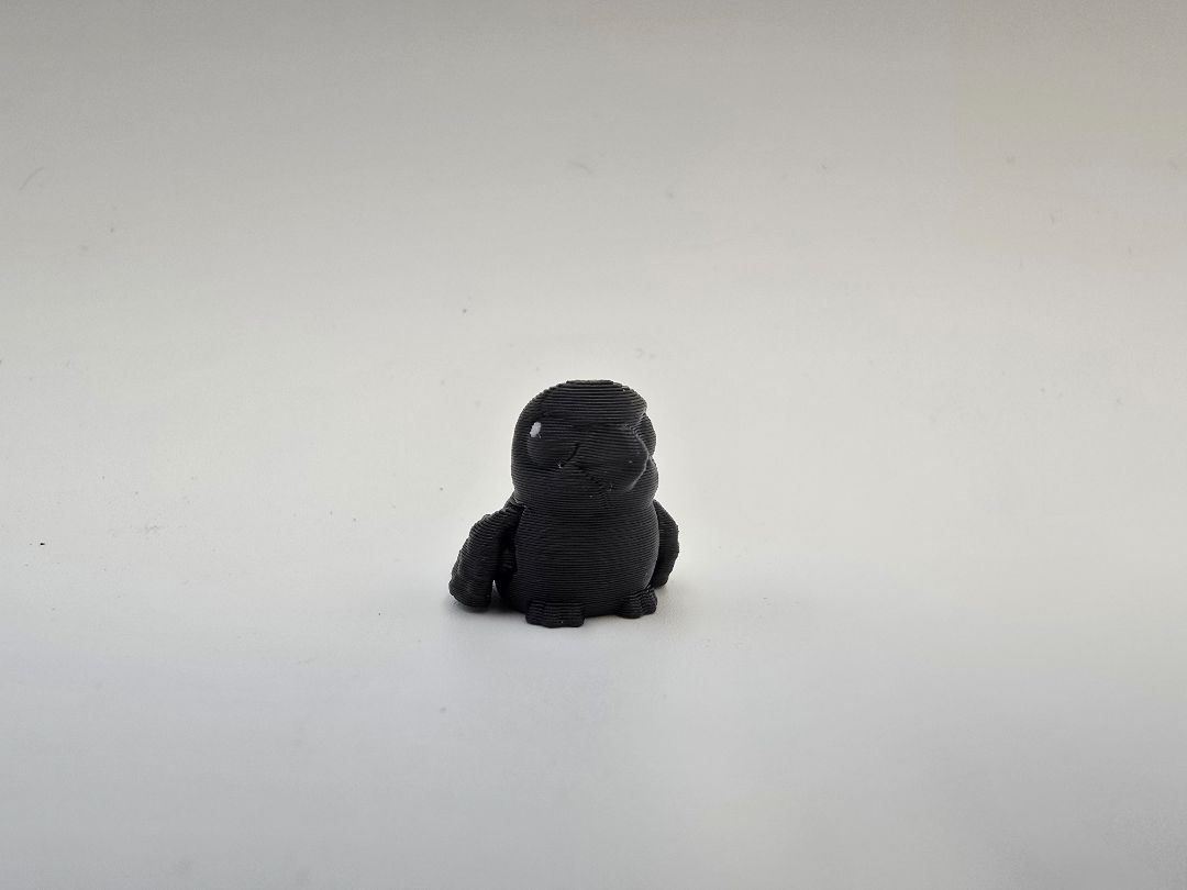 Hatchling Crow