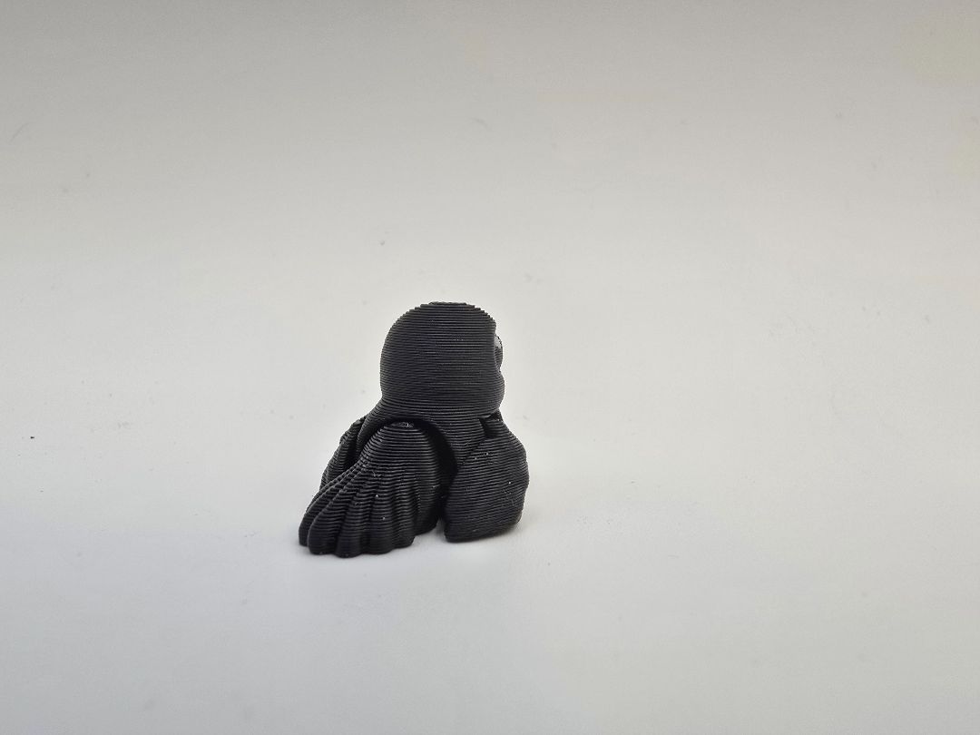 Hatchling Crow