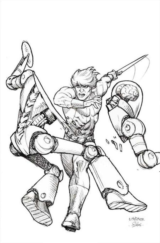 Thundarr The Barbarian #2 Cover N 1 in 10 Joseph Michael Linsner Line Art Full Art Variant