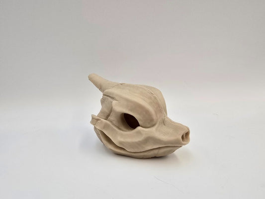 Charmeleon Skull