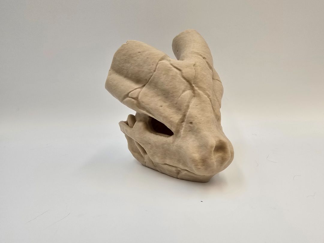 Suicune Skull