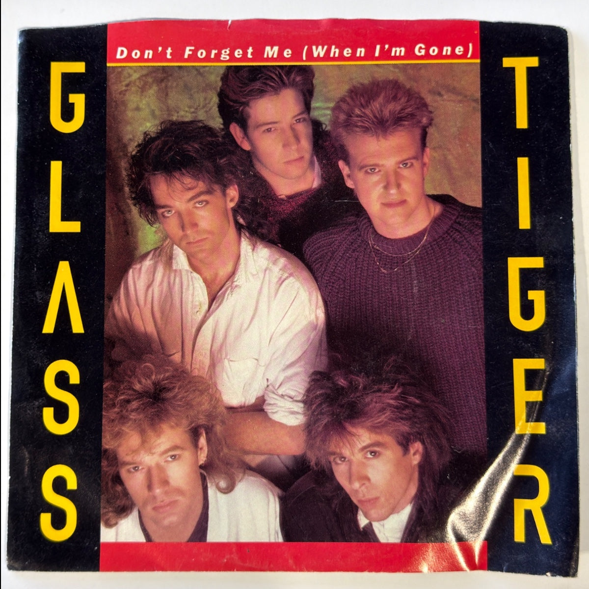 Glass Tiger - Don't Forget Me (When I'm Gone) (1986) - Vinyl