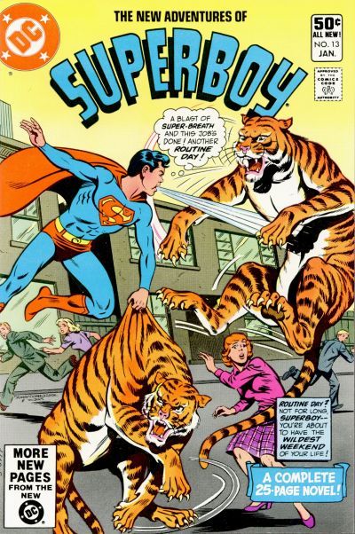 The New Adventures of Superboy #13A Direct Edition