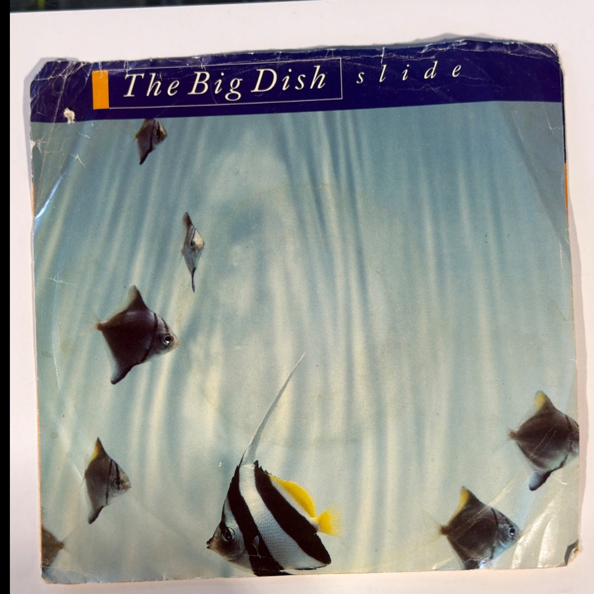 The Big Dish - slide (1986) - Vinyl