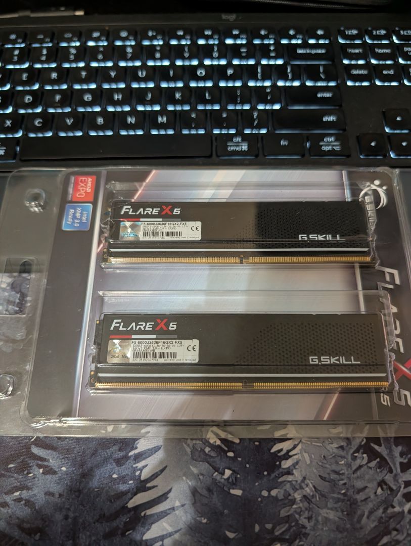 G. Skill Flare X 5 RAM