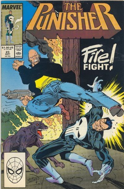 The Punisher, Vol. 2 #23A Direct Edition