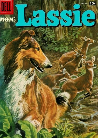 Lassie #36