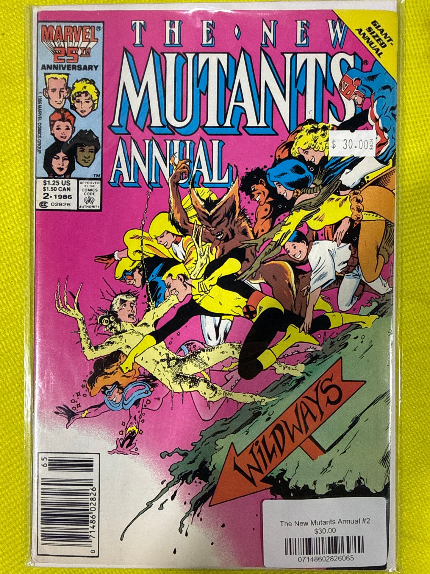 The New Mutants Annual #2