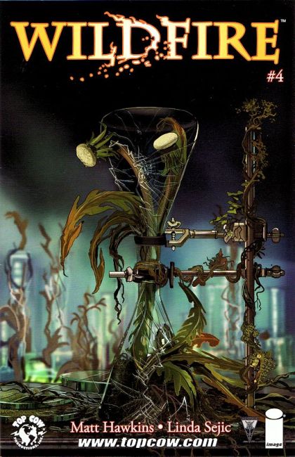 Wildfire #4A Linda Sejic Regular Cover