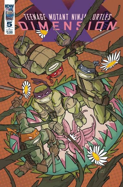 Teenage Mutant Ninja Turtles: Dimension X #5B Variant Craig Rousseau Cover