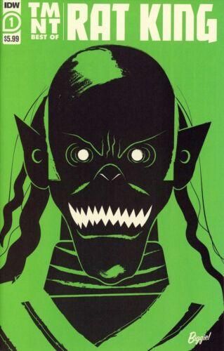 TMNT: Best of Rat King