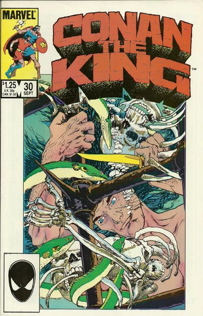 King Conan / Conan the King #30A Direct Edition