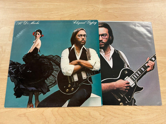 Al Di Meola - Elegant Gypsy
