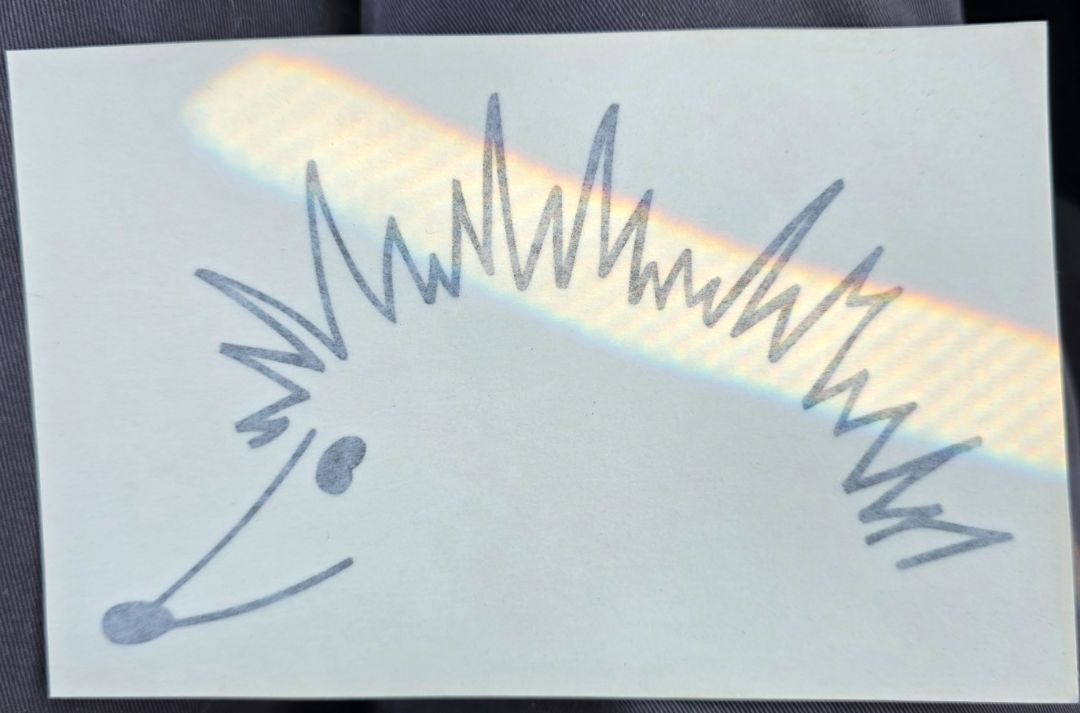 Hedgehog Bumper stickers