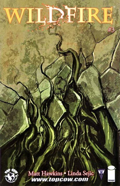 Wildfire #3B Stjepan Sejic Variant Cover