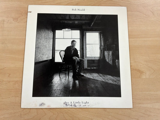 Bob Mould - See A Little Light