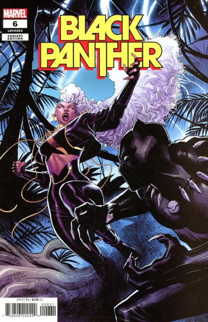 Black Panther, Vol. 8 #6C Incentive Martin Coccolo Variant Cover