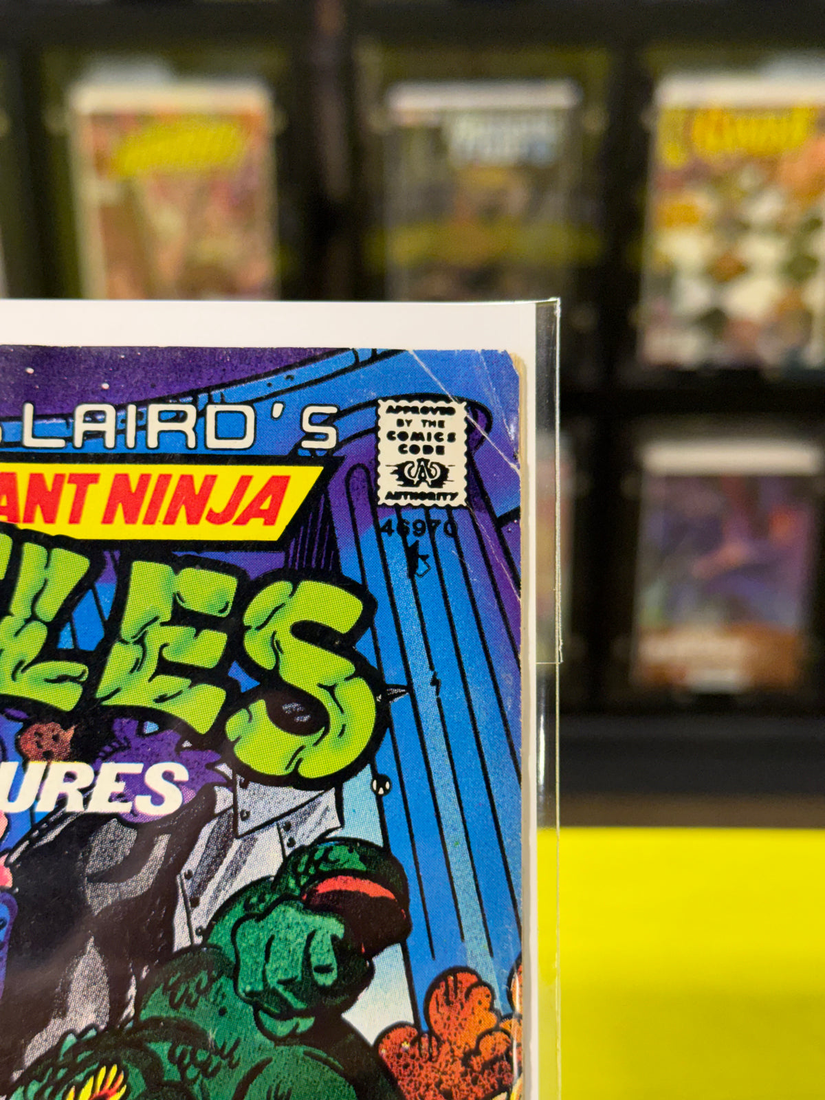 Teenage Mutant Ninja Turtles Adventures #13 (news stand)