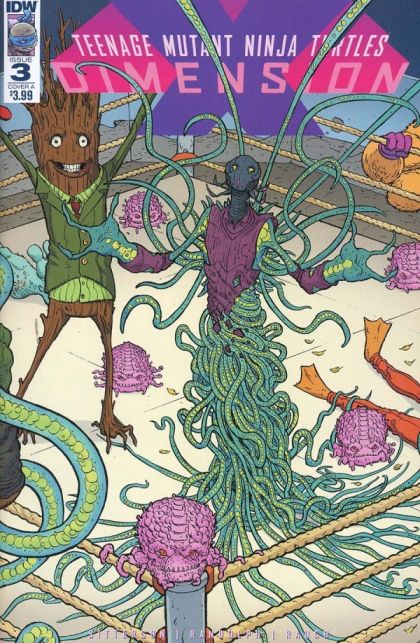 Teenage Mutant Ninja Turtles: Dimension X #3A Regular Nick Pitarra Cover