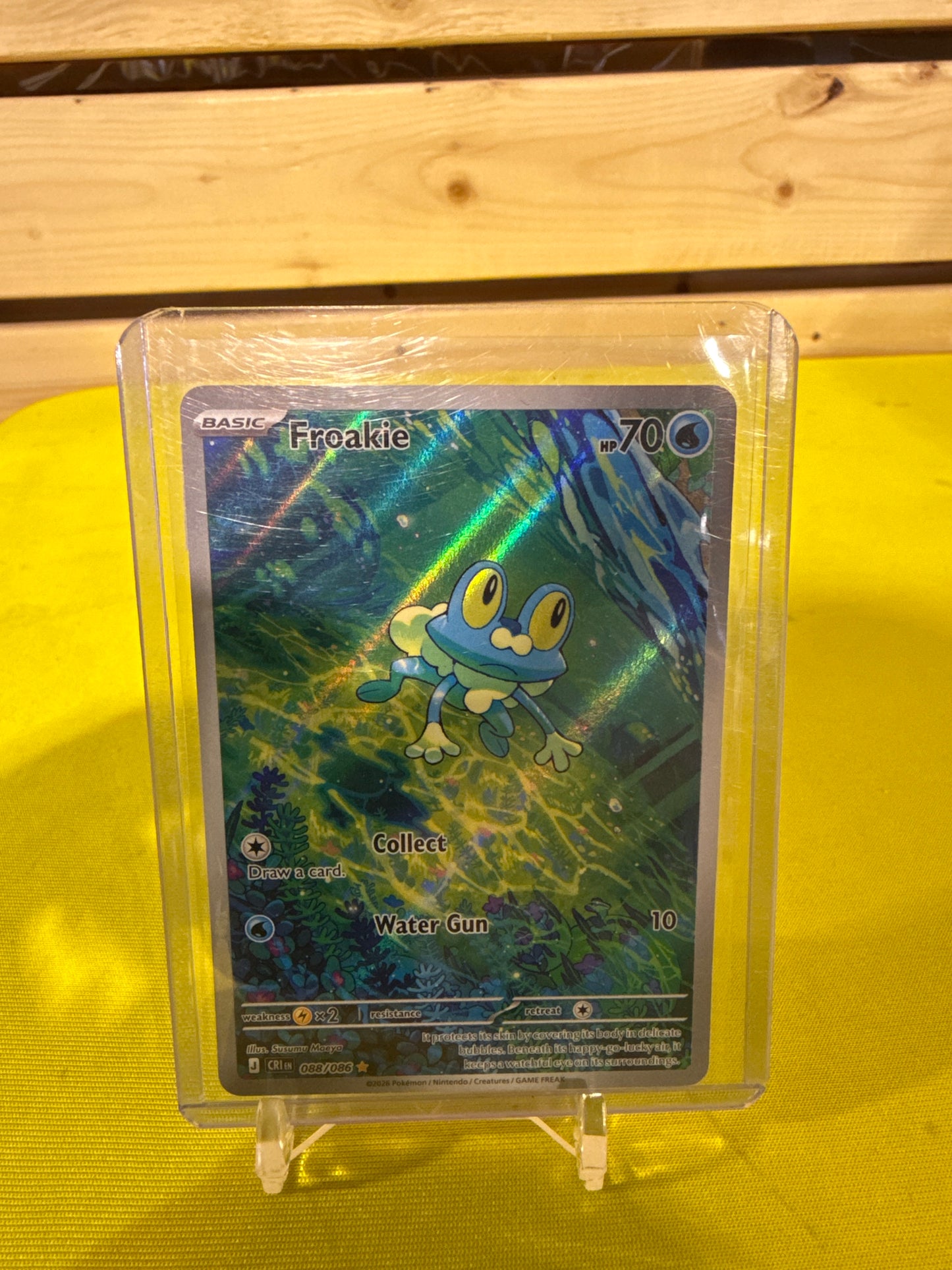 Froakie Full Art