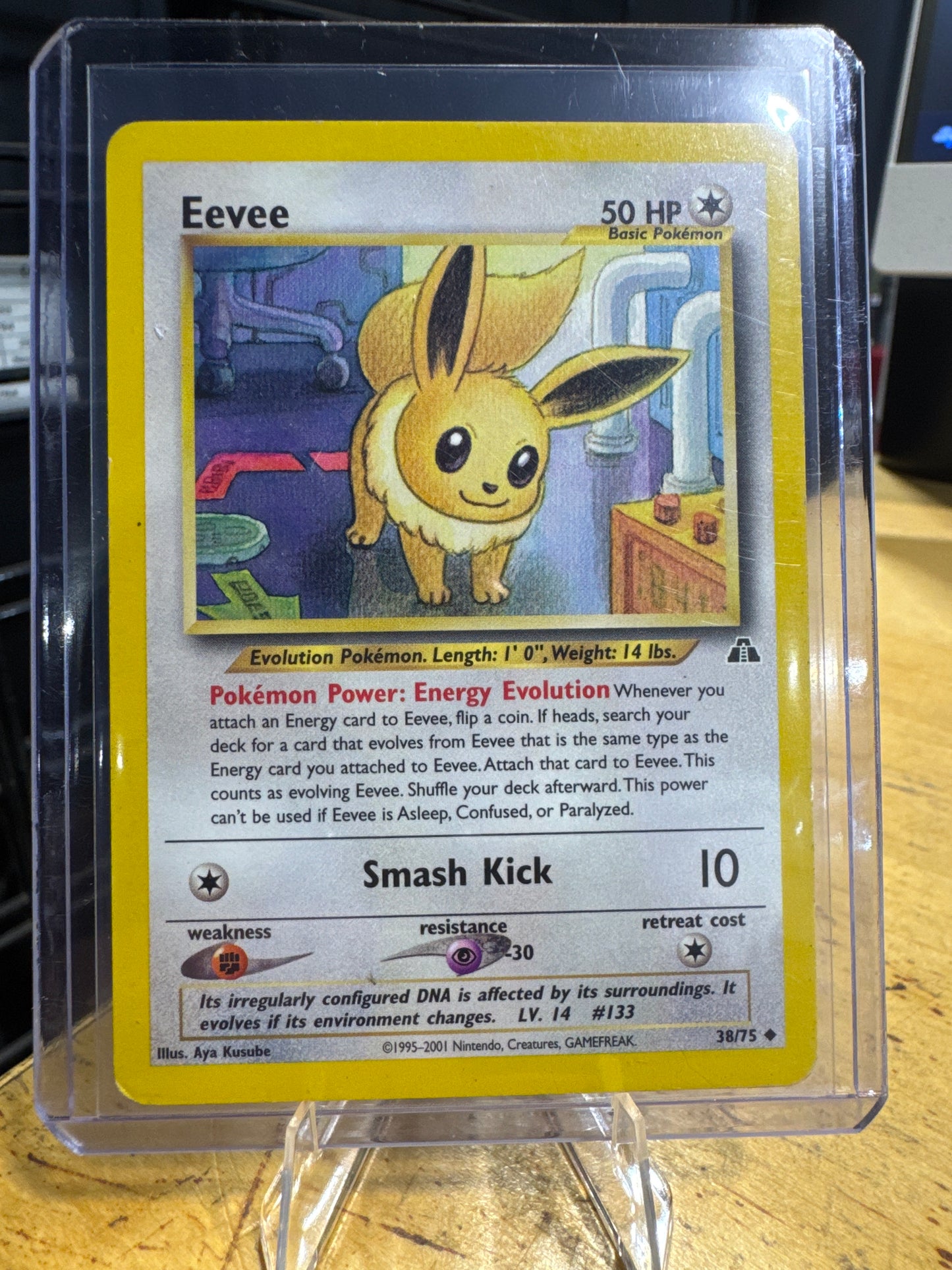 Eevee - Neo Discovery