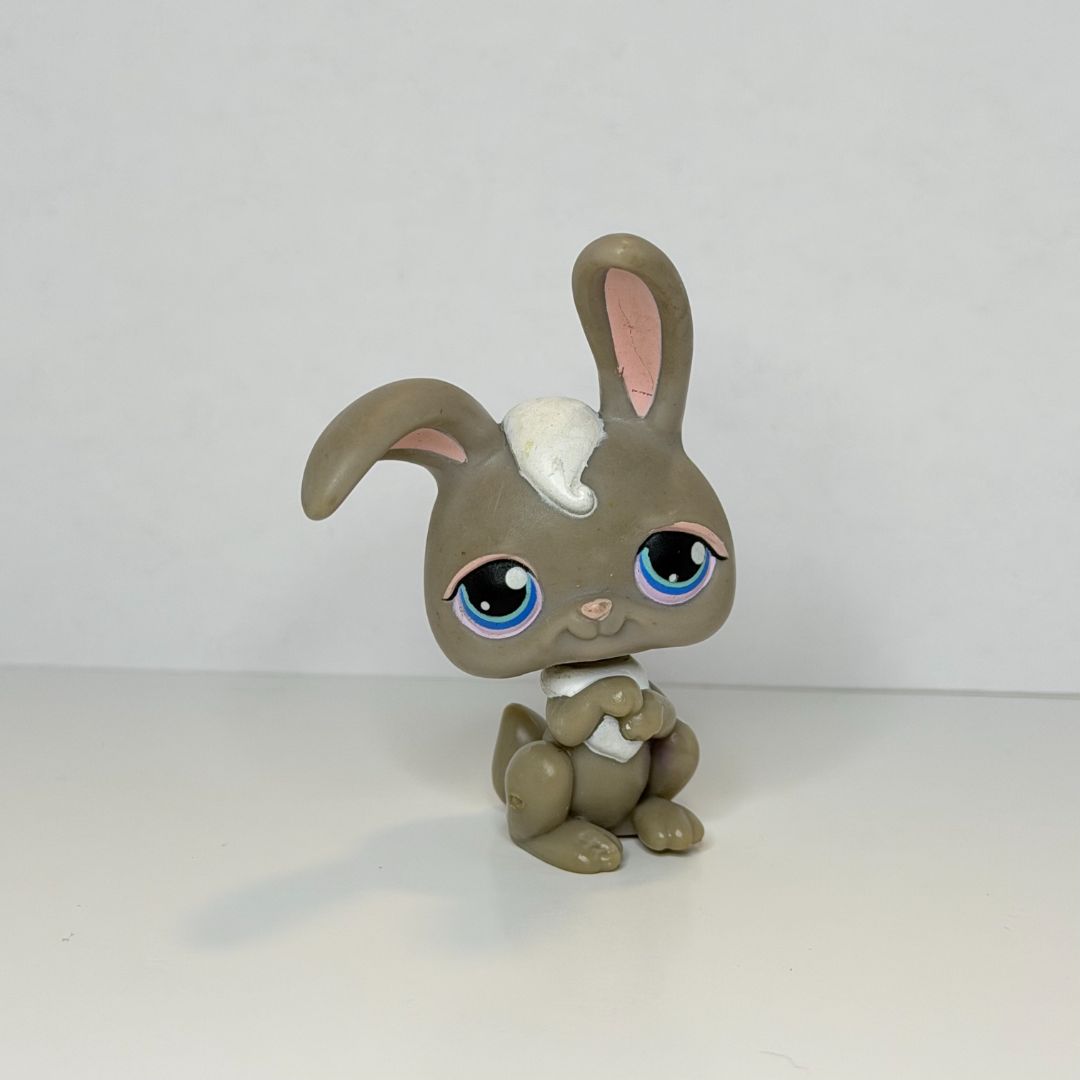 LPS Rabbit #14