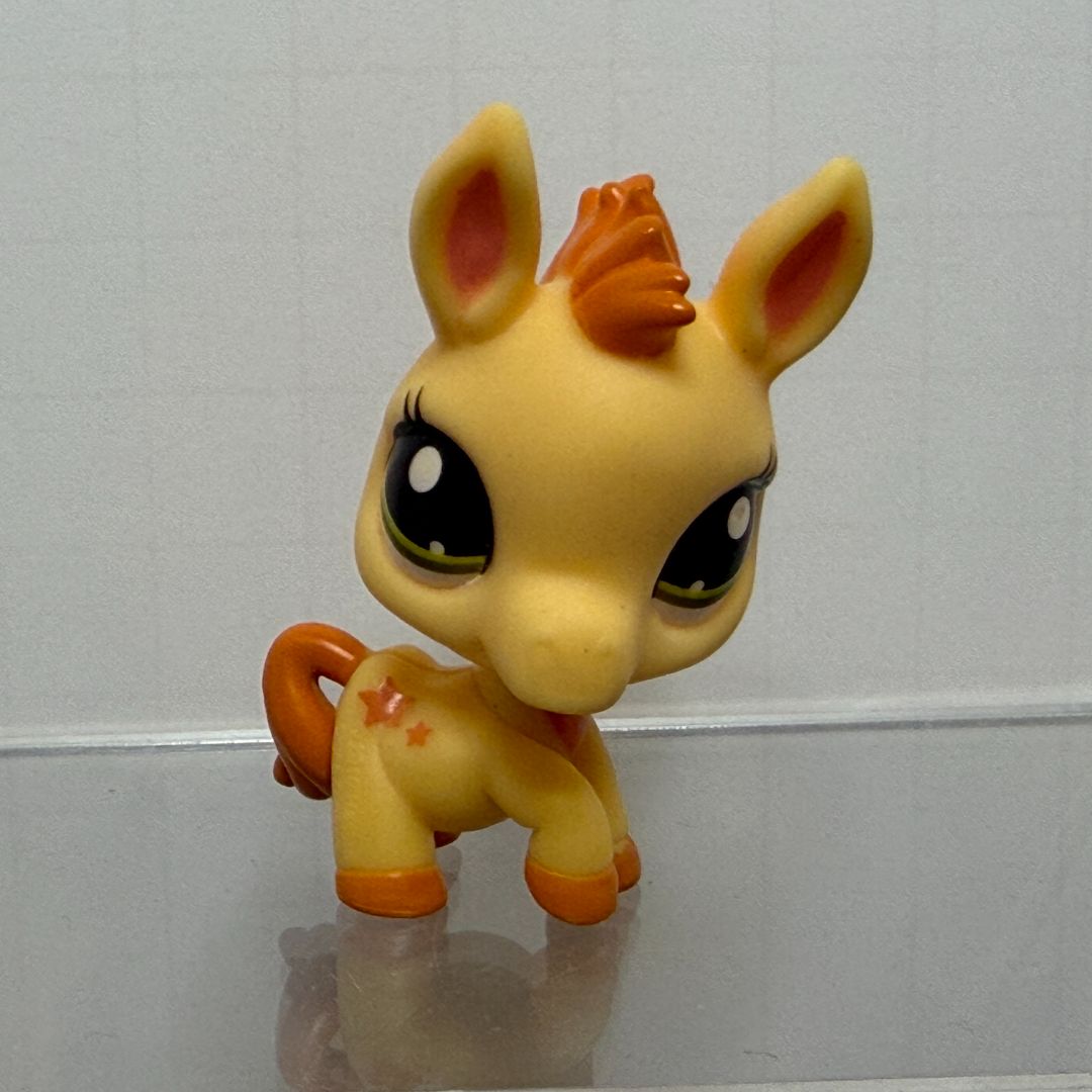 Donkey #56