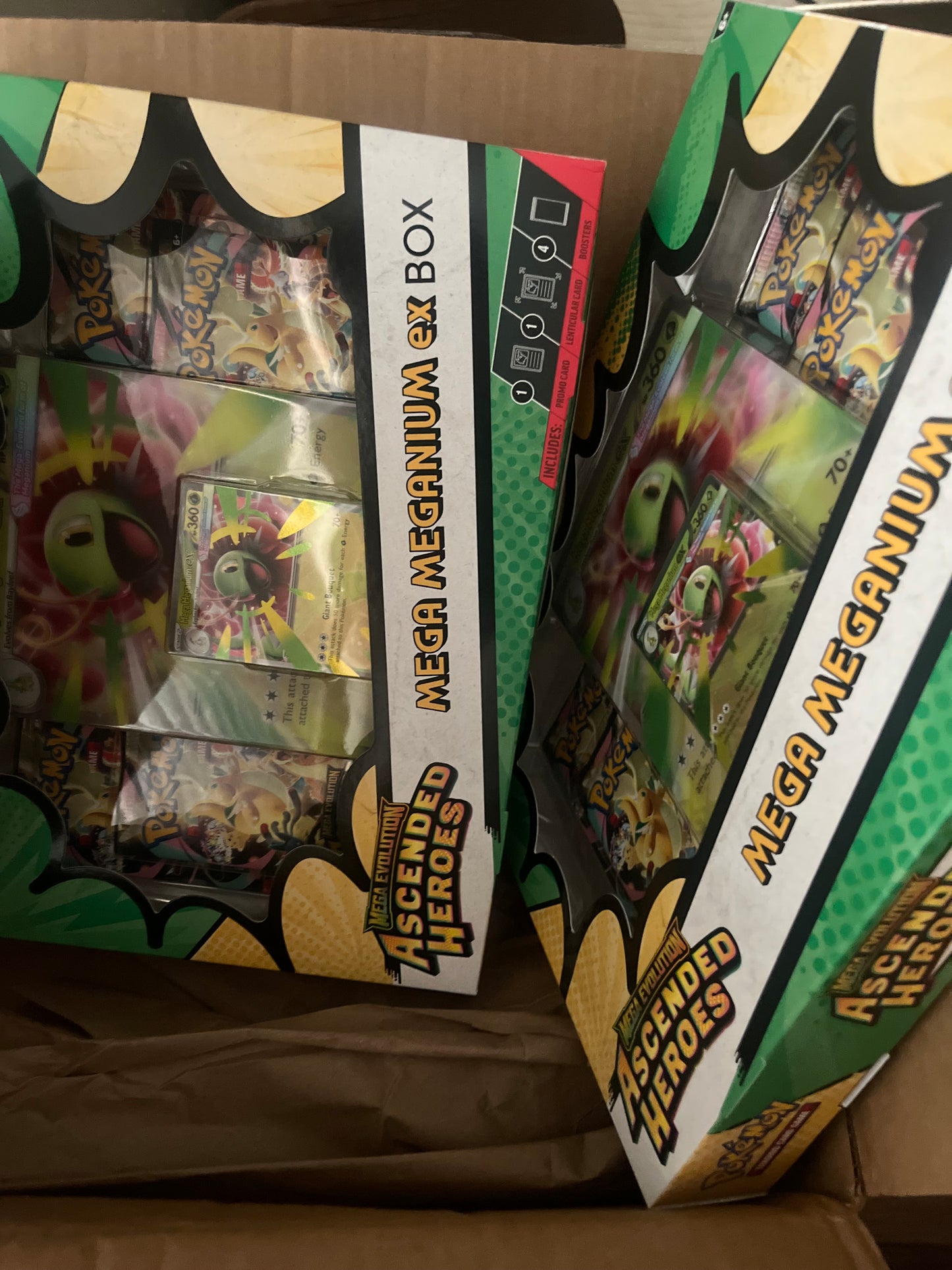 Ascended Heroes Mega meganium ex Box