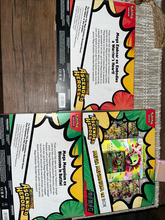Ascended Heroes Mega meganium ex Box