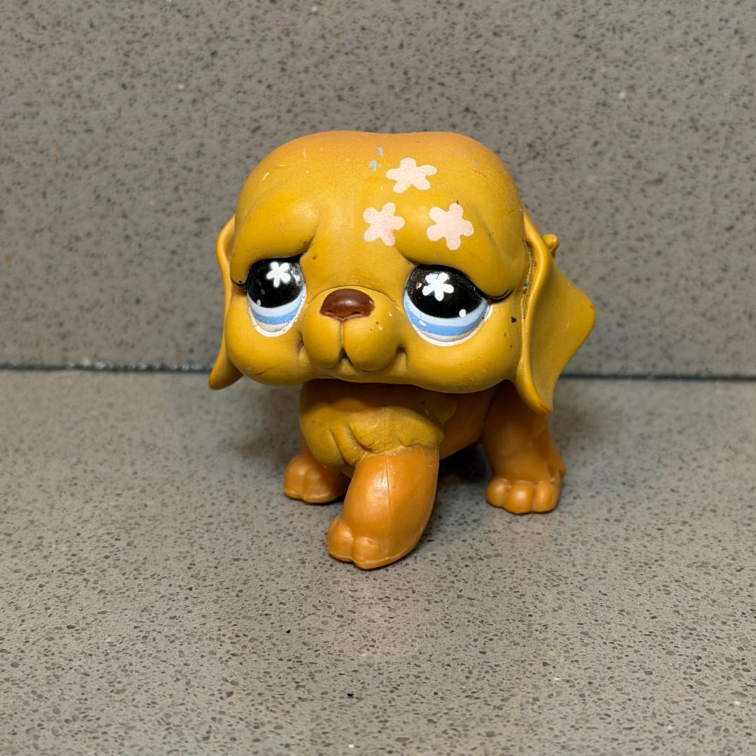 LPS Saint Bernard #481
