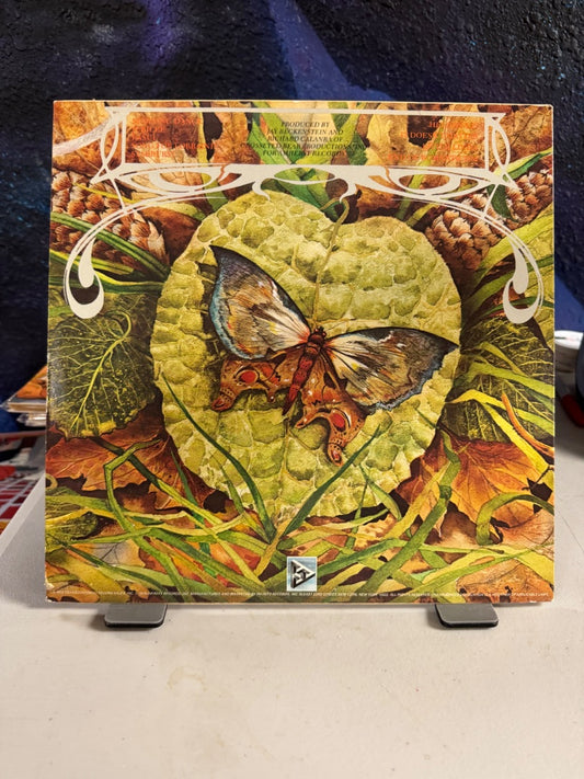 "MORNING DANCE" SPYRO GYRA