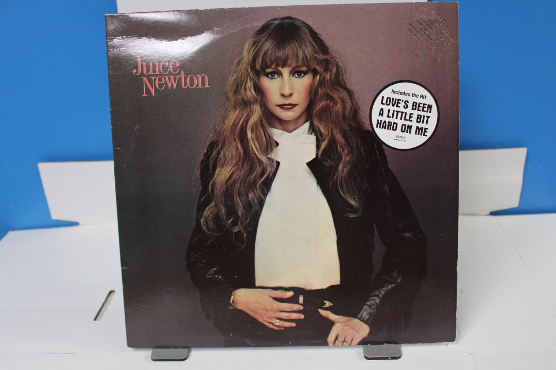 Joice Newton Quiet Lies