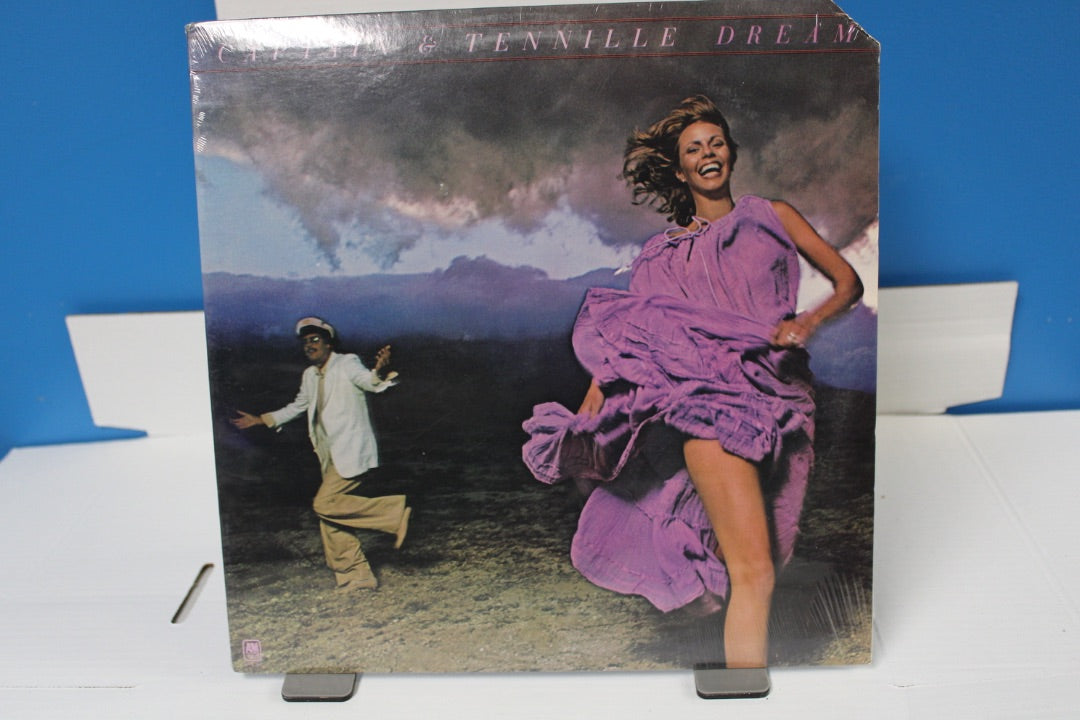 Captain and Tennille Dream