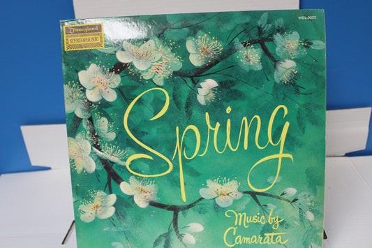 Camarta Spring Disneyland