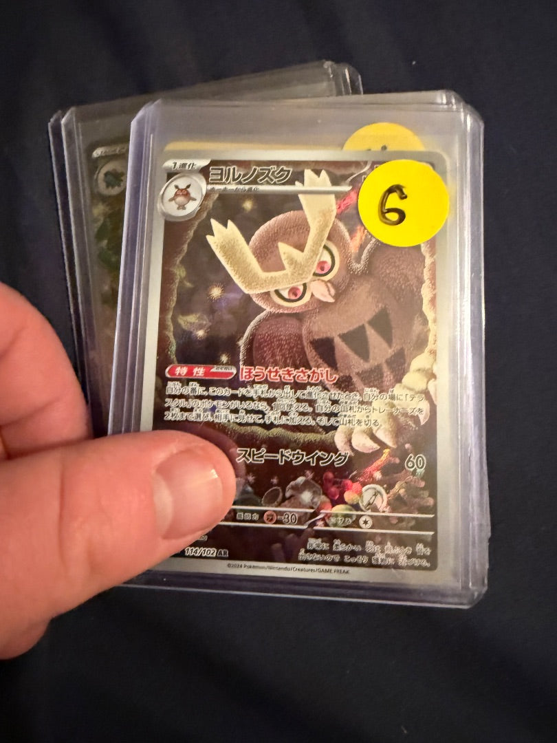 Noctowl