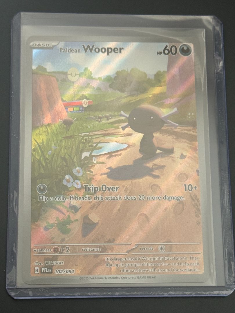 Paldean Wooper IR