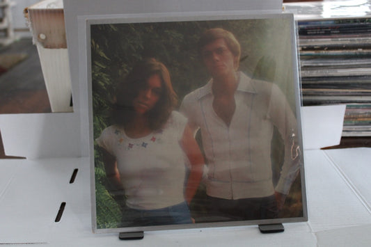 Carpenters, Horizon / vinyl
