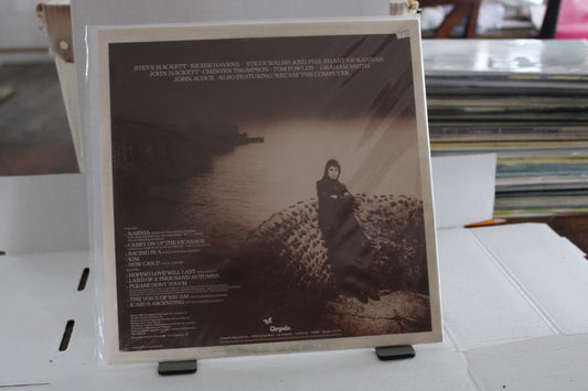 Steve Hackett Please don't Touch