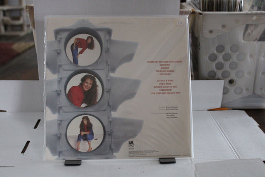 Amy Grant Straight Ahead