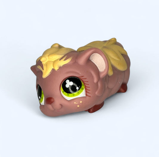2007 Guinea Pig #753