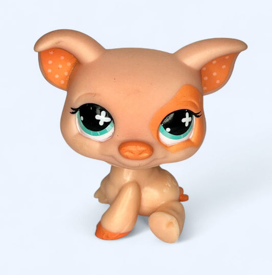 2006 Pig #662