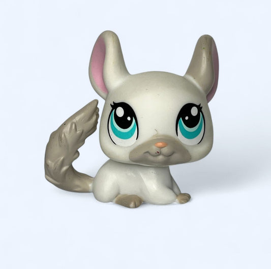 2007 Chinchilla #1401