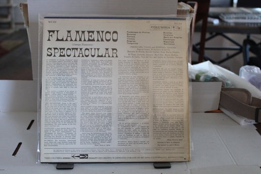 FLAMENCO SPECTACULAR