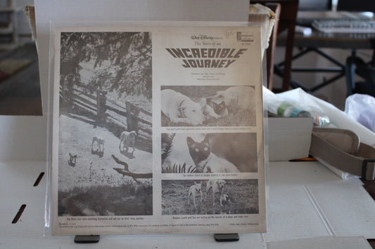WALT DISNEY INCREDIBLE JOURNEY