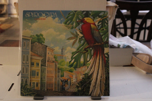 SpyroGyra Carnaval
