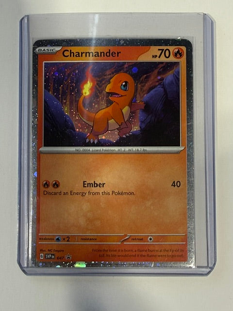 Charmander 047