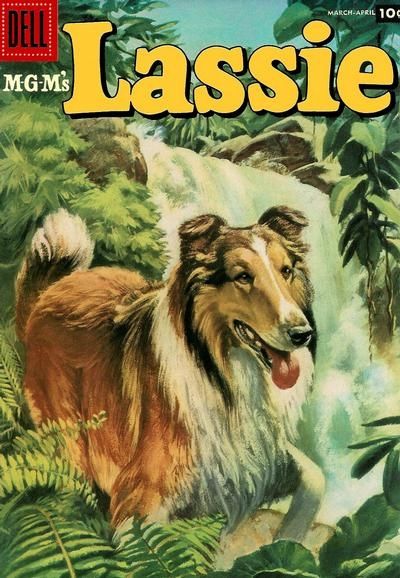 Lassie #33