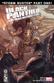 Black Panther Man Without Fear #519