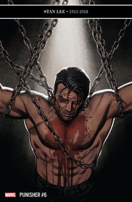 The Punisher, Vol. 12 #6